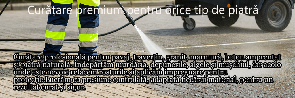 2-1-1024x341 Servicii